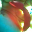 holding a rose petal in sunlight