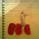 notes and rose petals