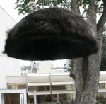 workshop2-263 - nära workshop2-263 - nära