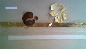 bildförlaga, tackbrev