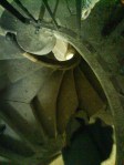 double spiral staircase 1