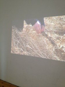 120722 Grassworks 01