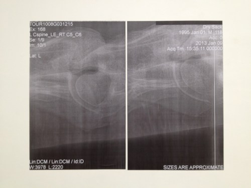 Konstnärshuset Lena Oja b