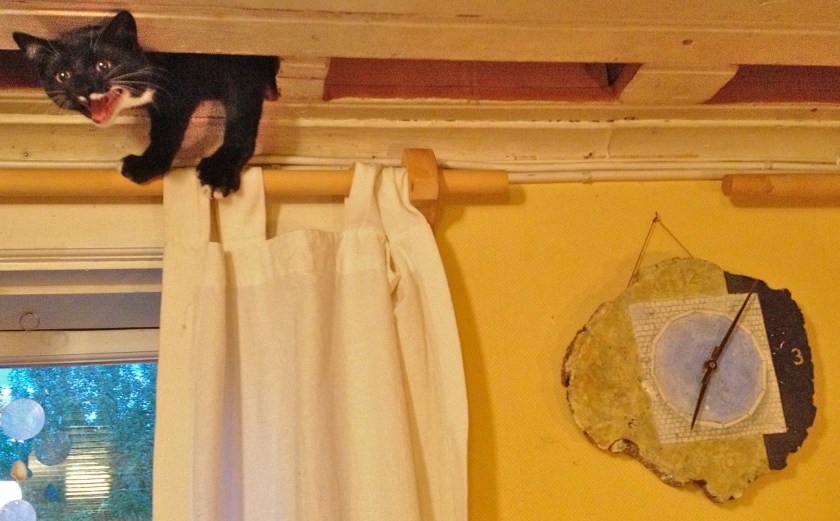 Behemot tittar in (2)