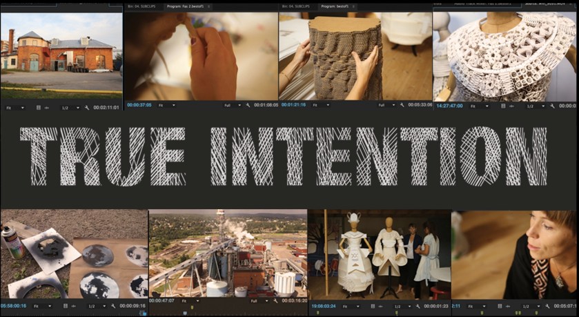 trueintentioninbjudan