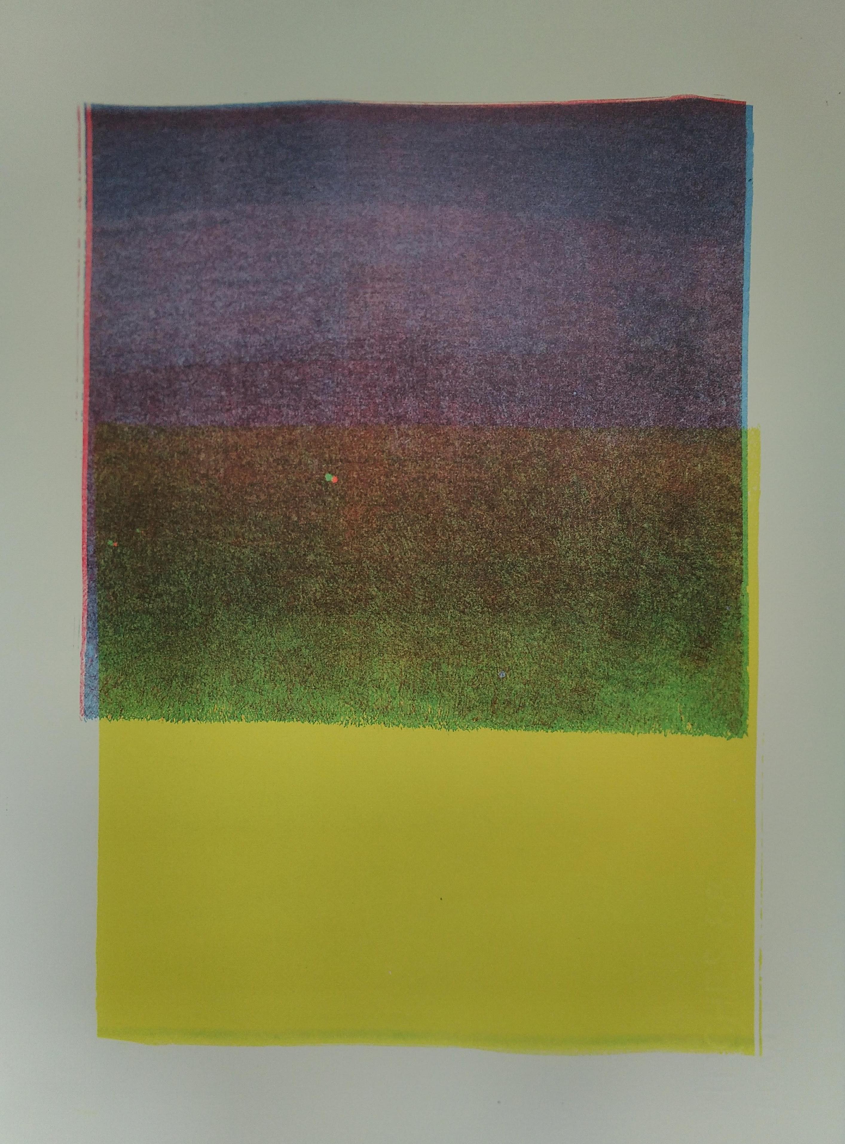 screen lila + gul (b)